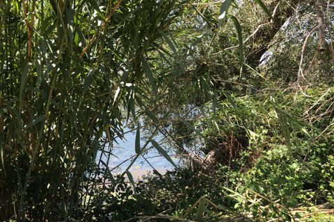 Finca i Benifallet, Tarragona, Benifallet - € 98.000 | Ref: Riverside 14 - foto 7