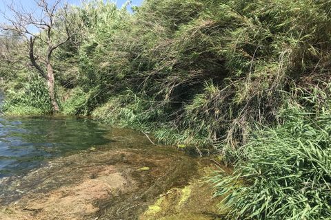 Finca i Benifallet, Tarragona, Benifallet - € 98.000 | Ref: Riverside 14 - foto 24