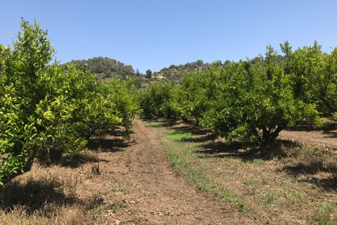 Finca i Benifallet, Tarragona, Benifallet - € 98.000 | Ref: Riverside 14 - foto 6