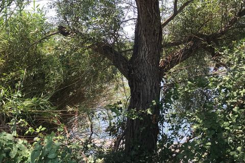 Finca i Benifallet, Tarragona, Benifallet - € 98.000 | Ref: Riverside 14 - foto 11