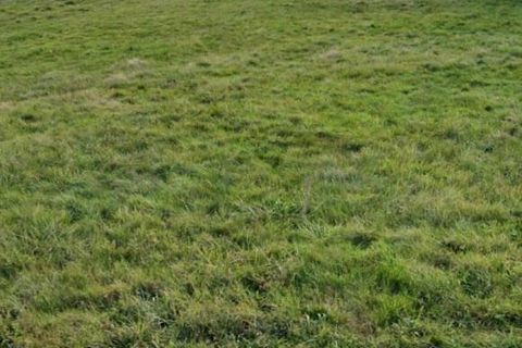 Helårsgrund i Secheras, Ardeche, Secheras - € 64.000 | Ref: FC_LE_COUVENT_LOT_1 - foto 2