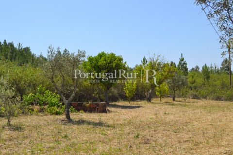 Helårsgrund i Proenca-a-Nova, Castelo Branco, Proenca-a-Nova - € 10.000 | Ref: 985-3 - foto 7