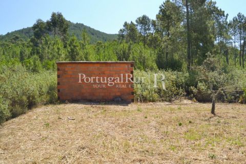 Helårsgrund i Proenca-a-Nova, Castelo Branco, Proenca-a-Nova - € 10.000 | Ref: 985-3 - foto 8
