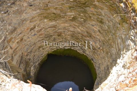 Helårsgrund i Proenca-a-Nova, Castelo Branco, Proenca-a-Nova - € 10.000 | Ref: 985-3 - foto 9