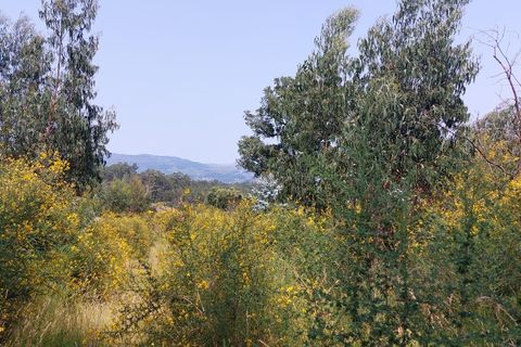 Farm i Vila Verde, Braga, Vila Verde - € 590.000 | Ref: 211663 - foto 3