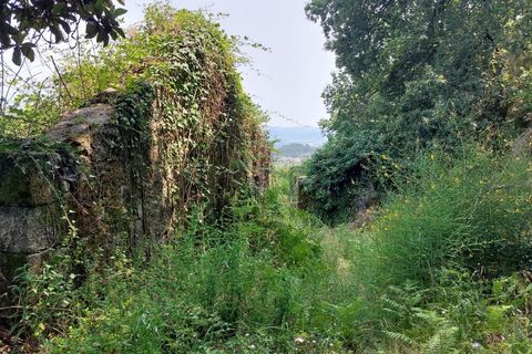 Farm i Vila Verde, Braga, Vila Verde - € 590.000 | Ref: 211663 - foto 4