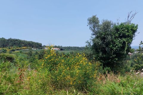 Farm i Vila Verde, Braga, Vila Verde - € 590.000 | Ref: 211663 - foto 5