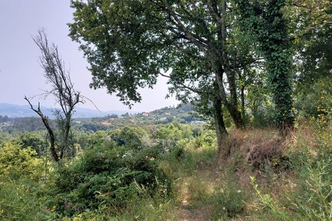Farm i Vila Verde, Braga, Vila Verde - € 590.000 | Ref: 211663 - foto 6
