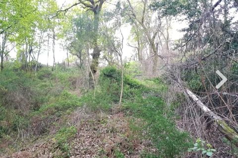 Farm i Vila Verde, Braga, Vila Verde - € 590.000 | Ref: 211663 - foto 8