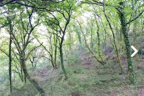 Farm i Vila Verde, Braga, Vila Verde - € 590.000 | Ref: 211663 - foto 11