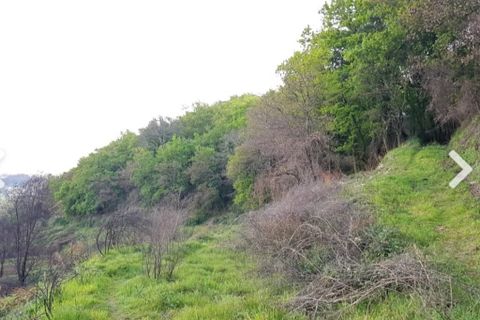 Farm i Vila Verde, Braga, Vila Verde - € 590.000 | Ref: 211663 - foto 13