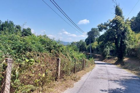 Farm i Vila Verde, Braga, Vila Verde - € 590.000 | Ref: 211663 - foto 14