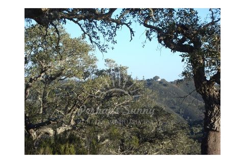 Landejendom i Colos, Beja, Colos - € 700.000 | Ref: PHS512/23 - foto 2