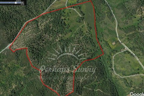 Landejendom i Colos, Beja, Colos - € 700.000 | Ref: PHS512/23 - foto 6
