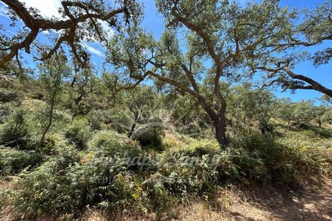 Landejendom i Colos, Beja, Colos - € 700.000 | Ref: PHS512/23 - foto 7