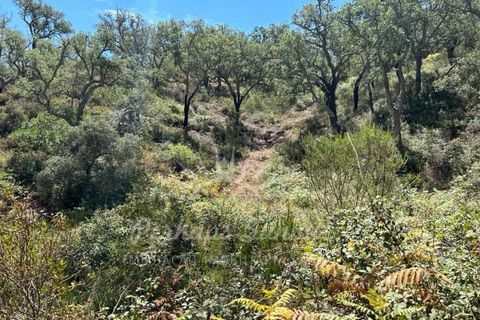 Landejendom i Colos, Beja, Colos - € 700.000 | Ref: PHS512/23 - foto 8
