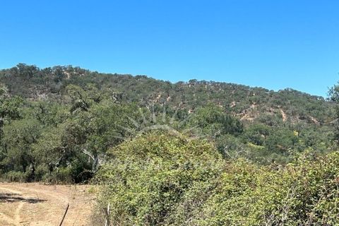 Landejendom i Colos, Beja, Colos - € 700.000 | Ref: PHS512/23 - foto 10