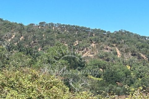 Landejendom i Colos, Beja, Colos - € 700.000 | Ref: PHS512/23 - foto 12