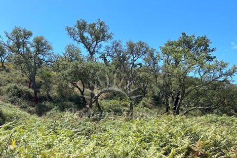 Landejendom i Colos, Beja, Colos - € 700.000 | Ref: PHS512/23 - foto 13
