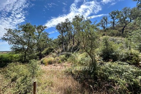 Landejendom i Colos, Beja, Colos - € 700.000 | Ref: PHS512/23 - foto 14