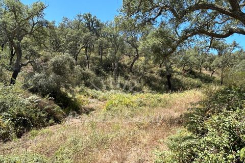 Landejendom i Colos, Beja, Colos - € 700.000 | Ref: PHS512/23 - foto 16