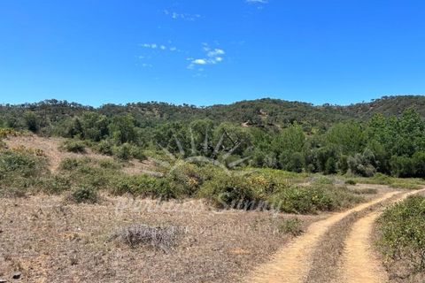 Landejendom i Colos, Beja, Colos - € 700.000 | Ref: PHS512/23 - foto 17