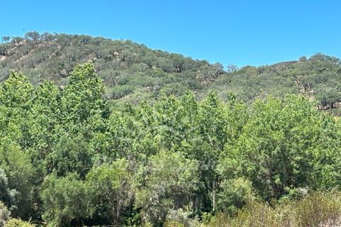 Landejendom i Colos, Beja, Colos - € 700.000 | Ref: PHS512/23 - foto 19
