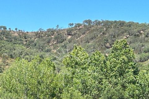 Landejendom i Colos, Beja, Colos - € 700.000 | Ref: PHS512/23 - foto 20