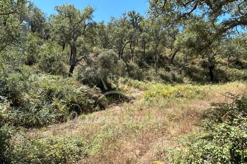 Landejendom i Colos, Beja, Colos - € 700.000 | Ref: PHS512/23 - foto 21