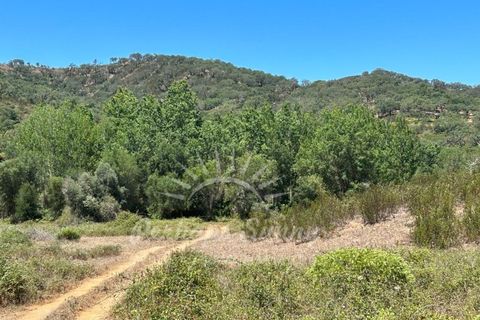 Landejendom i Colos, Beja, Colos - € 700.000 | Ref: PHS512/23 - foto 22