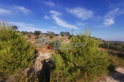 Landejendom i Noto, Siracusa, Noto - € 190.000 | Ref: 7TC - foto 8