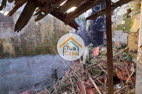 Byhus i Cantanhede, Coimbra, Cantanhede - € 90.000 | Ref: 4TC2571 - foto 9