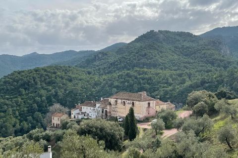 Villa i El Burgo, Malaga - foto 1