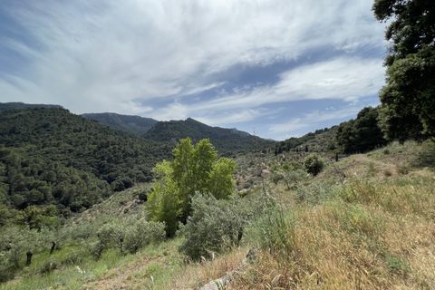 Villa i El Burgo, Malaga - foto 4