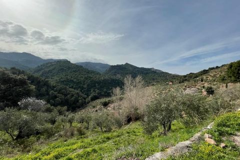 Villa a El Burgo, Malaga, El Burgo - € 255.000 | Ref: 428-01577P - foto 32