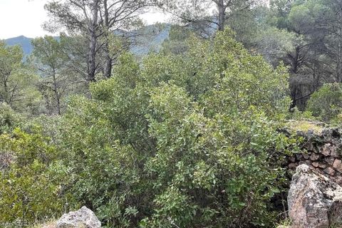 Villa a El Burgo, Malaga, El Burgo - € 255.000 | Ref: 428-01577P - foto 36