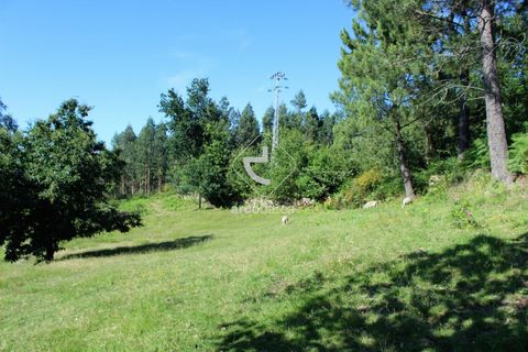 Grond in Ponte da Barca, Viana do Castelo, Ponte da Barca - € 25.000 | Ref: AV5680 - foto 3
