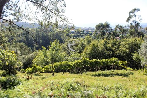 Grond in Ponte da Barca, Viana do Castelo, Ponte da Barca - € 25.000 | Ref: AV5680 - foto 8