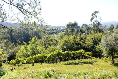 Grond in Ponte da Barca, Viana do Castelo, Ponte da Barca - € 25.000 | Ref: AV5680 - foto 10