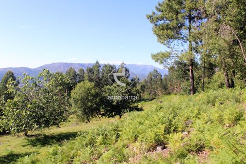 Grond in Ponte da Barca, Viana do Castelo, Ponte da Barca - € 25.000 | Ref: AV5680 - foto 11