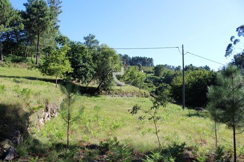 Grond in Ponte da Barca, Viana do Castelo, Ponte da Barca - € 25.000 | Ref: AV5680 - foto 12