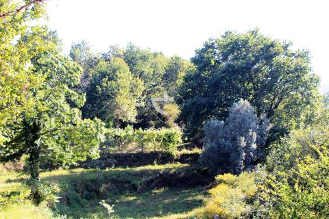 Grond in Ponte da Barca, Viana do Castelo, Ponte da Barca - € 25.000 | Ref: AV5680 - foto 16
