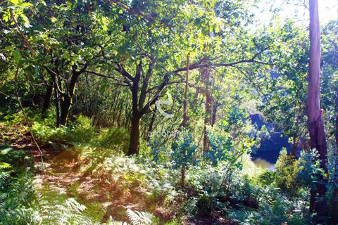Grond in Ponte da Barca, Viana do Castelo, Ponte da Barca - € 25.000 | Ref: AV5680 - foto 18