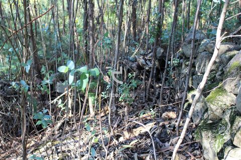 Grond in Ponte da Barca, Viana do Castelo, Ponte da Barca - € 25.000 | Ref: AV5680 - foto 19