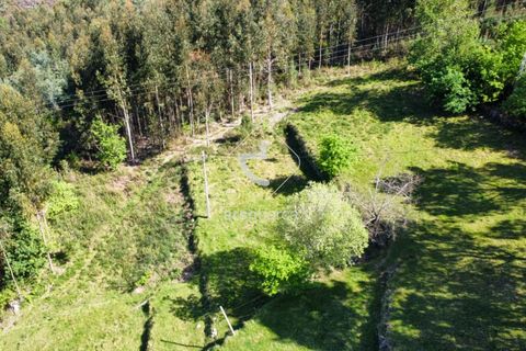 Grond in Ponte da Barca, Viana do Castelo, Ponte da Barca - € 25.000 | Ref: AV5680 - foto 5