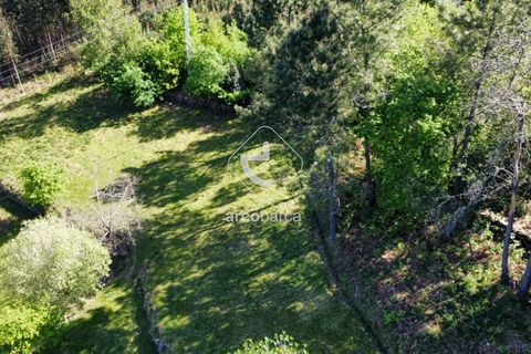 Grond in Ponte da Barca, Viana do Castelo, Ponte da Barca - € 25.000 | Ref: AV5680 - foto 7