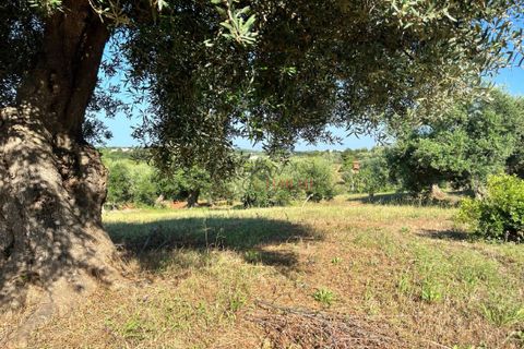 Landejendom i Cisternino, Brindisi, Cisternino - € 135.000 | Ref: 233 - foto 8
