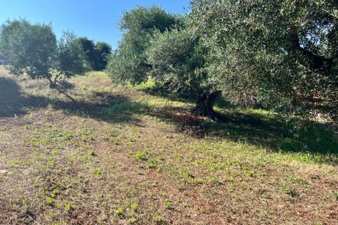 Landejendom i Cisternino, Brindisi, Cisternino - € 135.000 | Ref: 233 - foto 6