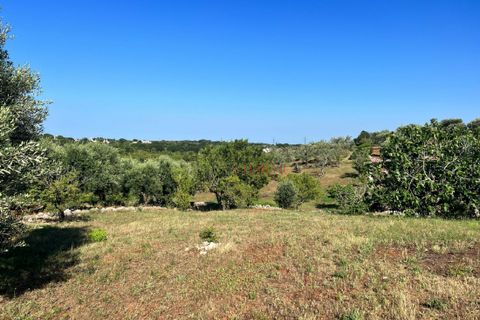 Landejendom i Cisternino, Brindisi, Cisternino - € 135.000 | Ref: 233 - foto 17