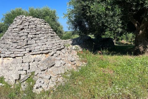 Landejendom i Cisternino, Brindisi, Cisternino - € 135.000 | Ref: 233 - foto 29